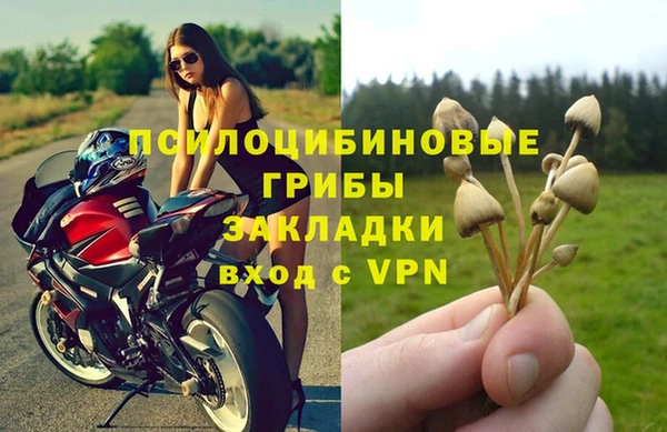 PSILOCYBIN Навашино
