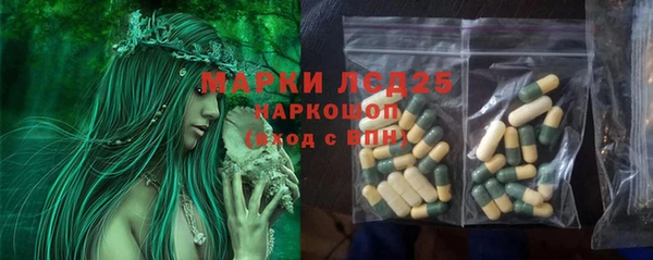 PSILOCYBIN Навашино