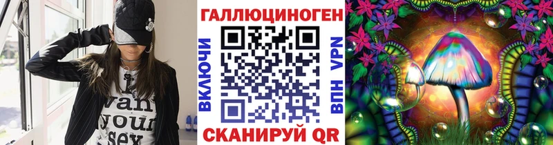 Псилоцибиновые грибы Psilocybe  Яхрома 