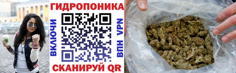 Марихуана план Яхрома